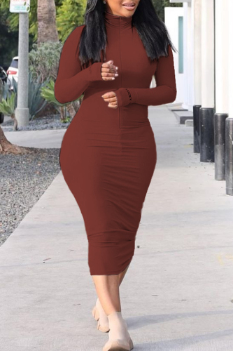Brown Fashion Casual Letter Embroidery Solid Color Turtleneck Long Sleeve Dresses