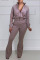 Light Purple Casual Solid Split Joint Zipper Long Sleeve Two Pieces