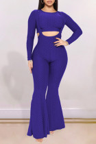Purple Fashion Casual Solid Basic O Neck Long Sleeve Two Pieces