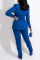 Black Casual Work Solid Split Joint Turn-back Collar Long Sleeve Two Pieces