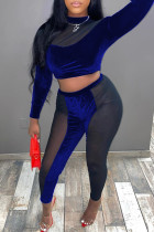 Blue Fashion Casual Solid See-through Half A Turtleneck Long Sleeve Two Pieces