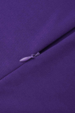 Purple Fashion Zipper Long Sleeve Dress