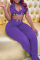 Purple Fashion Sexy Solid Bandage Split Joint Backless Halter Sleeveless Two Pieces
