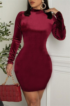 Burgundy Fashion Sexy Solid Basic Half A Turtleneck Long Sleeve Dresses