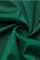 Green Celebrities Solid V Neck Evening Dress Dresses