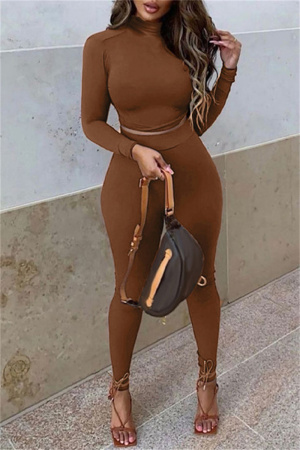 Brown Fashion Casual Solid Basic Turtleneck Long Sleeve Two Pieces