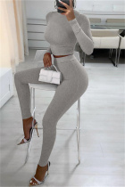 Grey Fashion Casual Solid Basic Turtleneck Long Sleeve Two Pieces