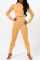 Yellow Casual Sportswear Solid Basic O Neck Long Sleeve Two Pieces