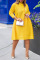 Yellow Casual Solid Split Joint Half A Turtleneck A Line Dresses