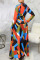 Multicolor Casual Elegant Color Lump Print Patchwork O Neck A Line Dresses
