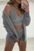 Grey Casual Living Solid Basic O Neck Long Sleeve Three-piece Set