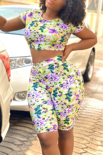 Multicolor Casual Print Short Sleeve T-shirt Shorts Set