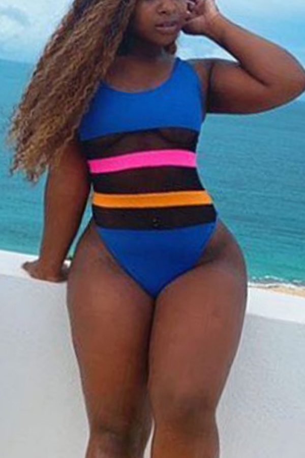 Multicolor Sexy Stitching Plus Size Swimsuit