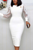 White Fashion Mesh Long Sleeve Dress