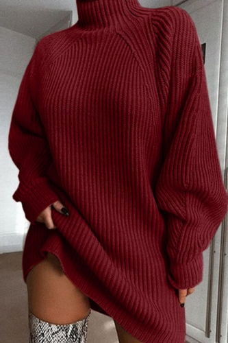 Burgundy Fashion Casual Solid Basic Turtleneck Long Sleeve Dresses