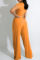 Orange Fashion Casual Solid Basic O Neck Short Sleeve Two Pieces