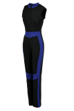 Royal Blue Casual Sportswear Patchwork Basic Zipper Collar Skinny Jumpsuits