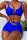 Royal Blue Sexy Solid Split Joint Swimwears