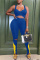 Blue Sexy Casual Sportswear Patchwork Hollowed Out Pants V Neck Sleeveless Two Pieces