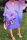 Purplish Blue Fashion Casual Print Hollowed Out O Neck Long Sleeve Dresses