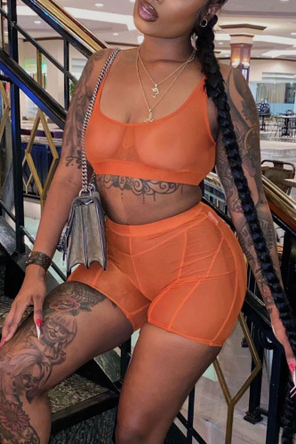 Tangerine Sexy Solid Patchwork See-through U Neck Sleeveless Two Pieces