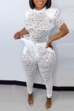 White Sexy Solid Patchwork See-through Half A Turtleneck Short Sleeve Two Pieces