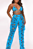 Powder Blue Sexy Mesh Printing Swimsuit Two-piece Set