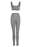 Grey Sexy Casual Solid Vests Pants U Neck Sleeveless Two Pieces