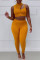 Orange Fashion Sexy Solid Hollowed Out Split Joint Turtleneck Sleeveless Two Pieces