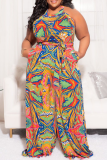 Multicolor Fashion Casual Print Cosplay O Neck Plus Size Jumpsuits
