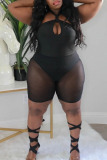 Black Sexy Solid Patchwork See-through Halter Plus Size Two Pieces