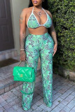 Green Fashion Sexy Print Bandage Backless Halter Plus Size Two Pieces