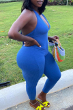 Blue Sexy Casual Solid Backless Halter Plus Size Jumpsuits