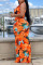 Multicolor Celebrities Print Patchwork V Neck Straight Dresses