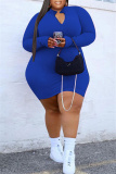 Blue Fashion Casual Solid Basic Zipper Collar Long Sleeve Plus Size Dresses