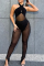 Black Sexy Solid Mesh Halter Sleeveless Two Pieces