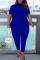 Blue Fashion Casual Solid Basic Turtleneck Short Sleeve Two Pieces