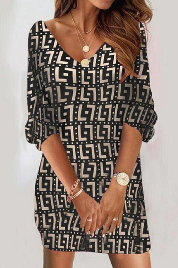 Brown Casual Print Patchwork V Neck Straight Dresses