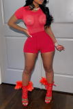Red Sexy Solid Mesh O Neck Short Sleeve Two Pieces