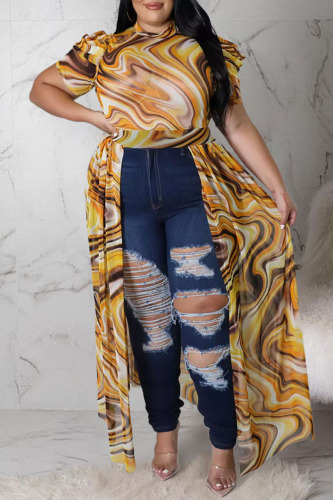 Yellow Sexy Print Patchwork See-through Asymmetrical Mandarin Collar Straight Plus Size Dresses
