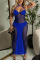Blue Sexy Solid Patchwork See-through Spaghetti Strap One Step Skirt Dresses