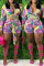 Multicolor Fashion Casual Print Bandage V Neck Long Sleeve Two Pieces