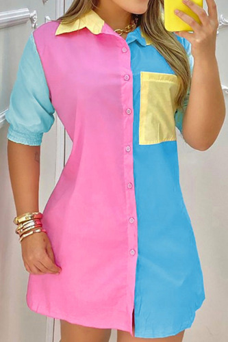 Powder Blue Casual Print Patchwork Buckle Turndown Collar Dresses