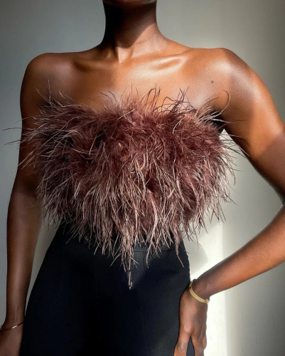 Brown Sexy Solid Patchwork Feathers Strapless Tops