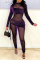 Purple Sexy Solid Patchwork Mesh Half A Turtleneck Skinny Jumpsuits