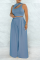 Lake Blue Casual Solid Hollowed Out O Neck Sleeveless Two Pieces