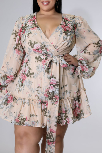 Pink Sexy Casual Print Frenulum V Neck A Line Plus Size Dresses