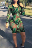 Green Fashion Sexy Print See-through O Neck Long Sleeve Dresses