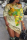 Green Fashion Casual Print Basic O Neck Long Sleeve Plus Size Dresses