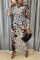 Leopard Print Fashion Sexy Print See-through O Neck Long Sleeve Dresses